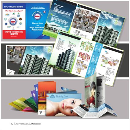 Broşür ve katalog
