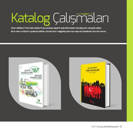 Katalog çalışmaları